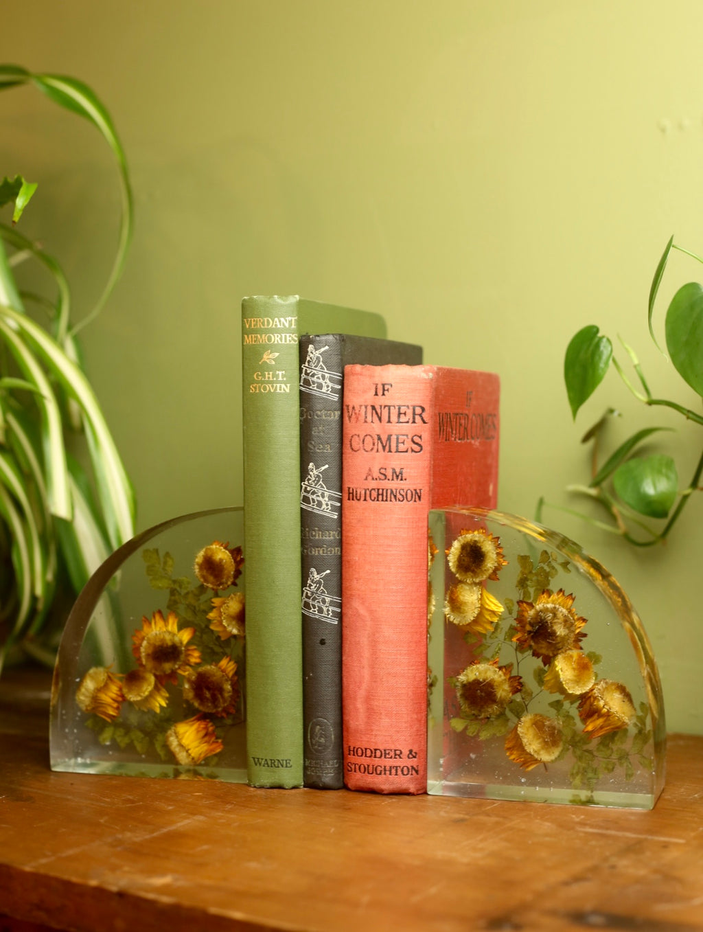 Strawflower Resin Bookends