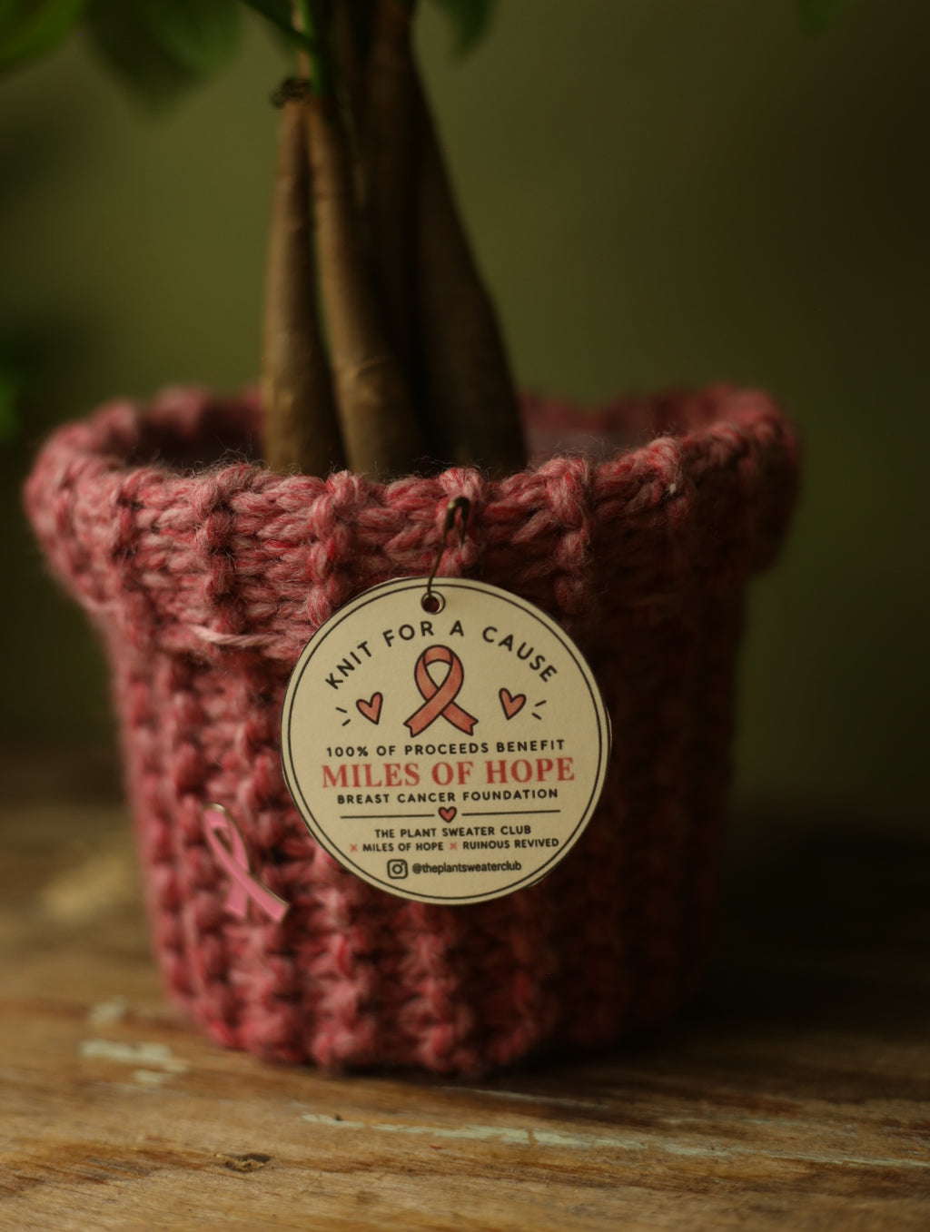 'Knit For A Cause' Plant Sweater 5 Inch - Dusty Pink