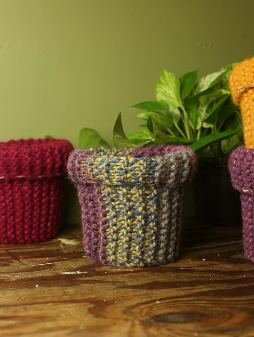 Plant Sweaters 6 inch