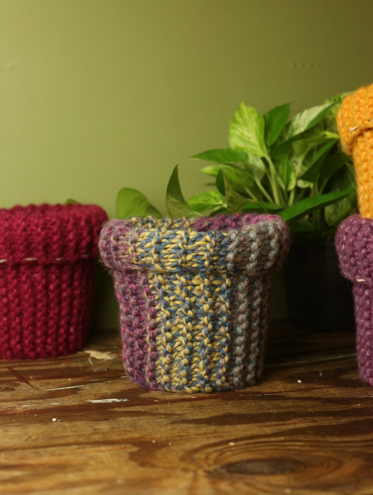 Plant Sweaters 6 inch