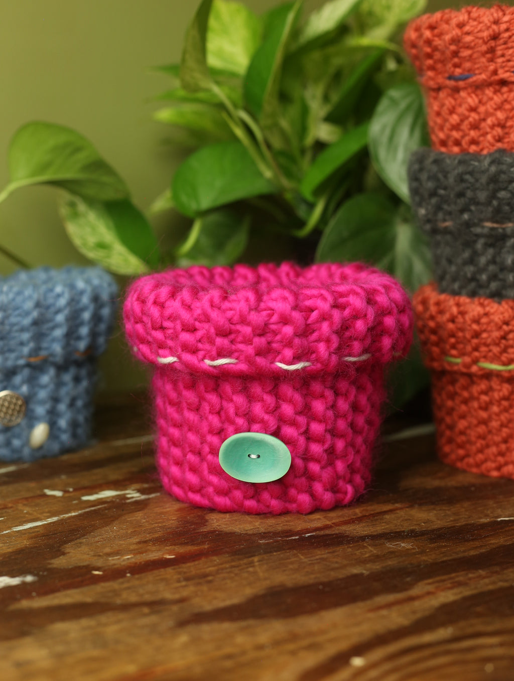 Plant Sweater 4 Inch