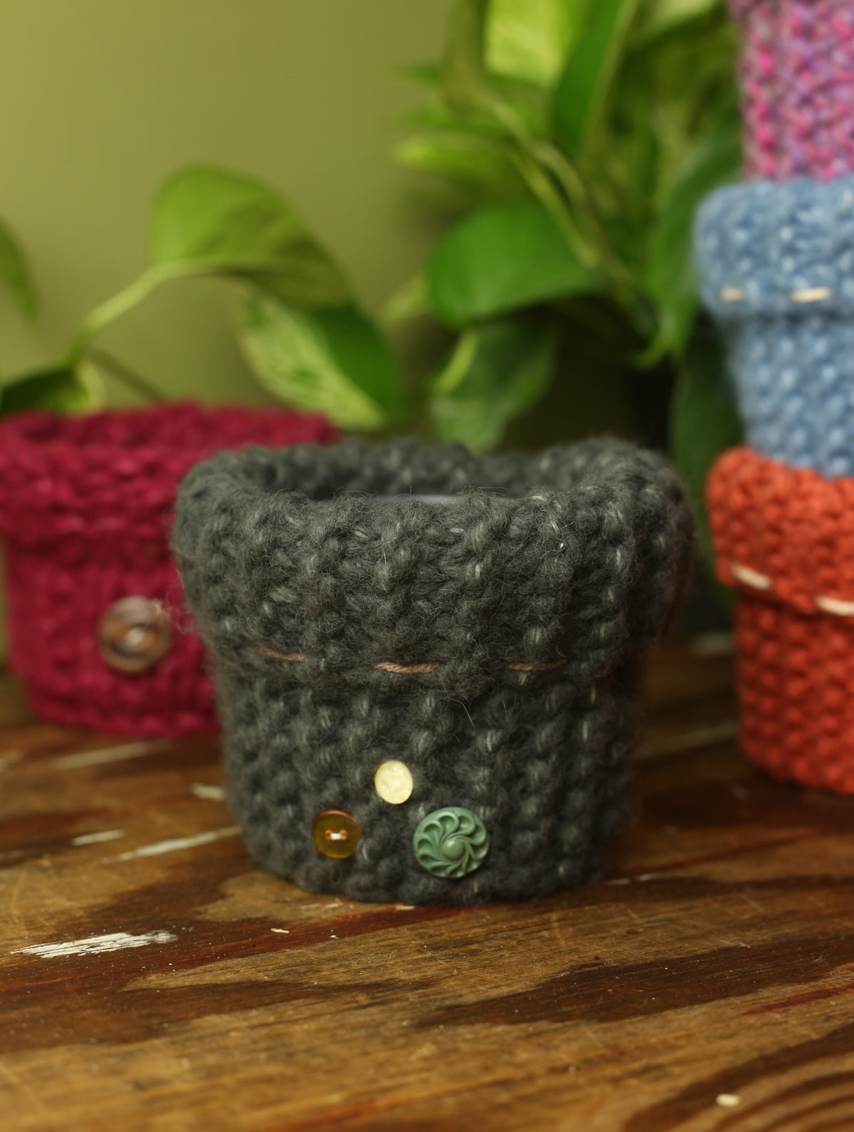 Plant Sweater 4 Inch