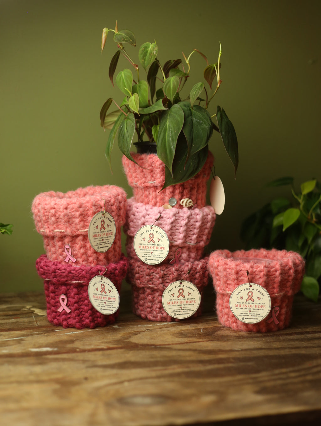 'Knit For A Cause' Plant Sweaters 4 Inch