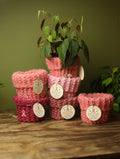'Knit For A Cause' Plant Sweaters 4 Inch