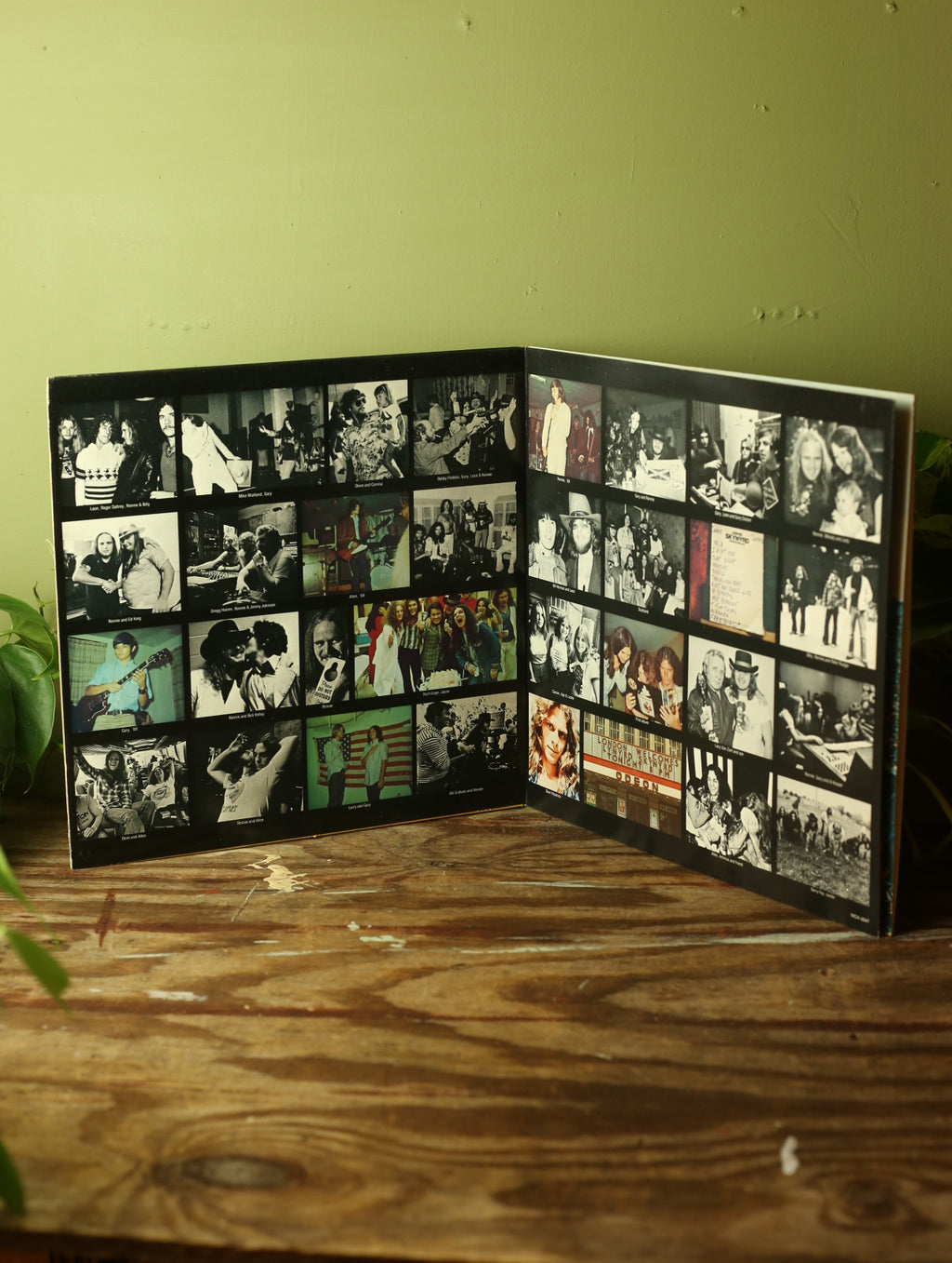 Skynyrd's First And...