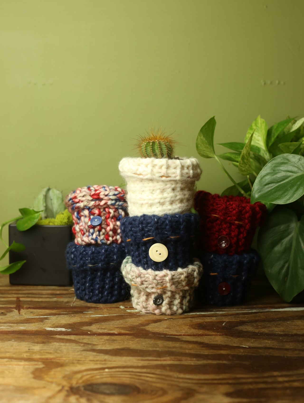 Plant Sweater 3 inch