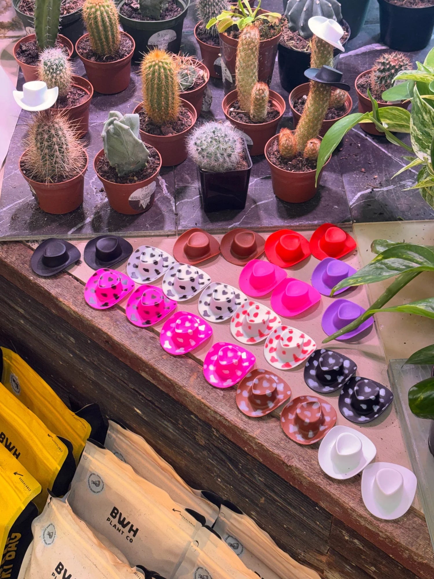 Plant Cowboy Hats