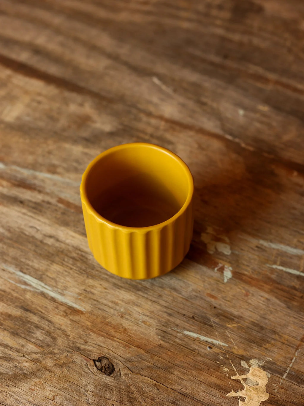 Mustard Plant Pot - 2.75 inch