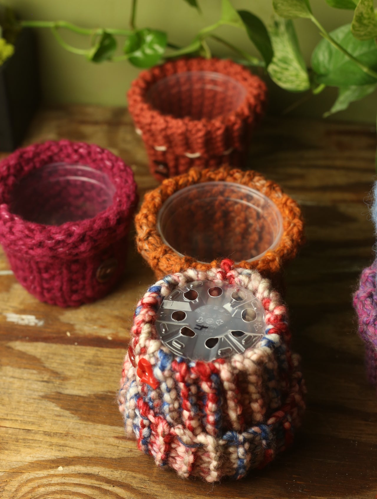 Plant Sweater 4 Inch