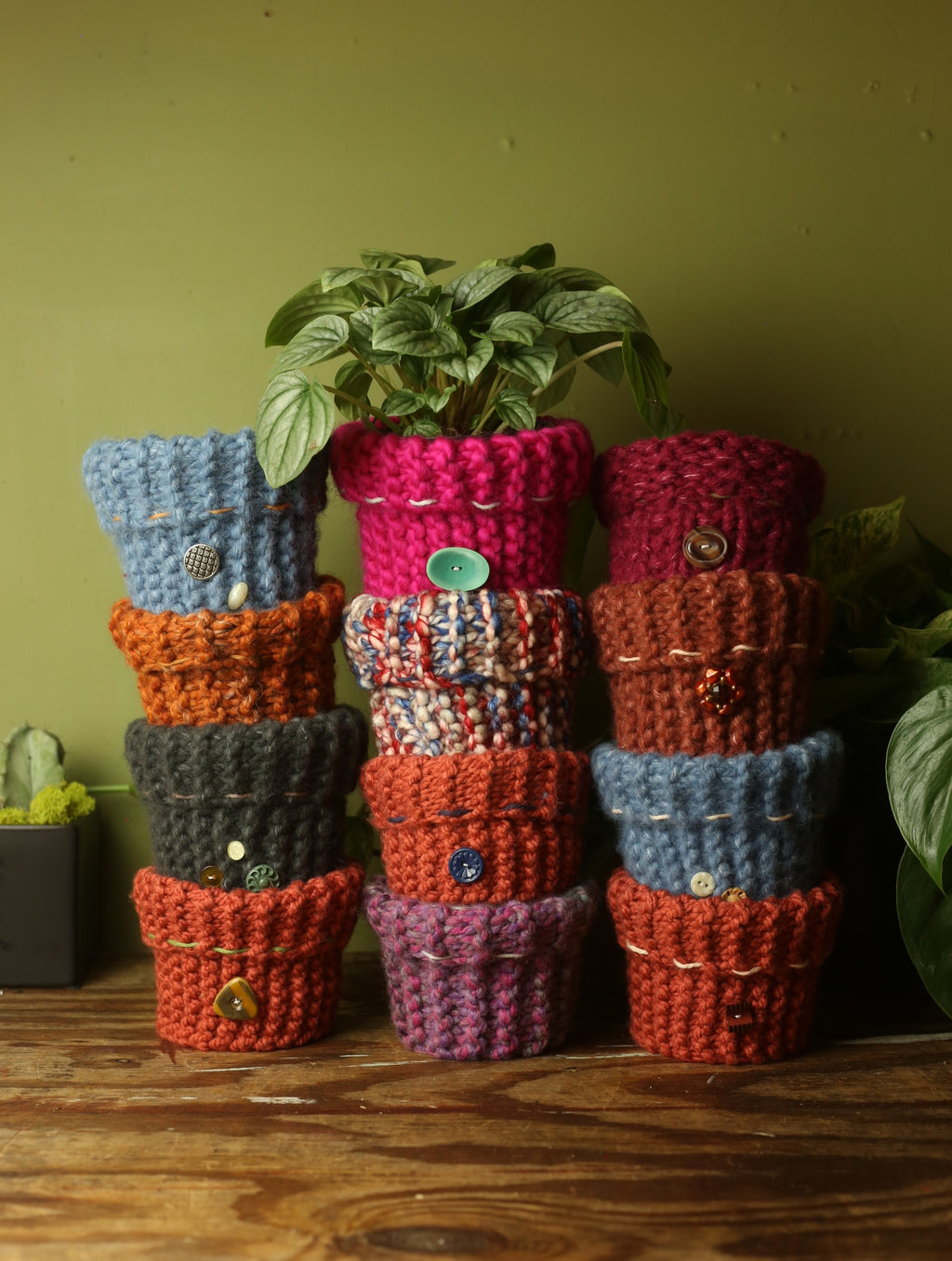 Plant Sweater 4 Inch