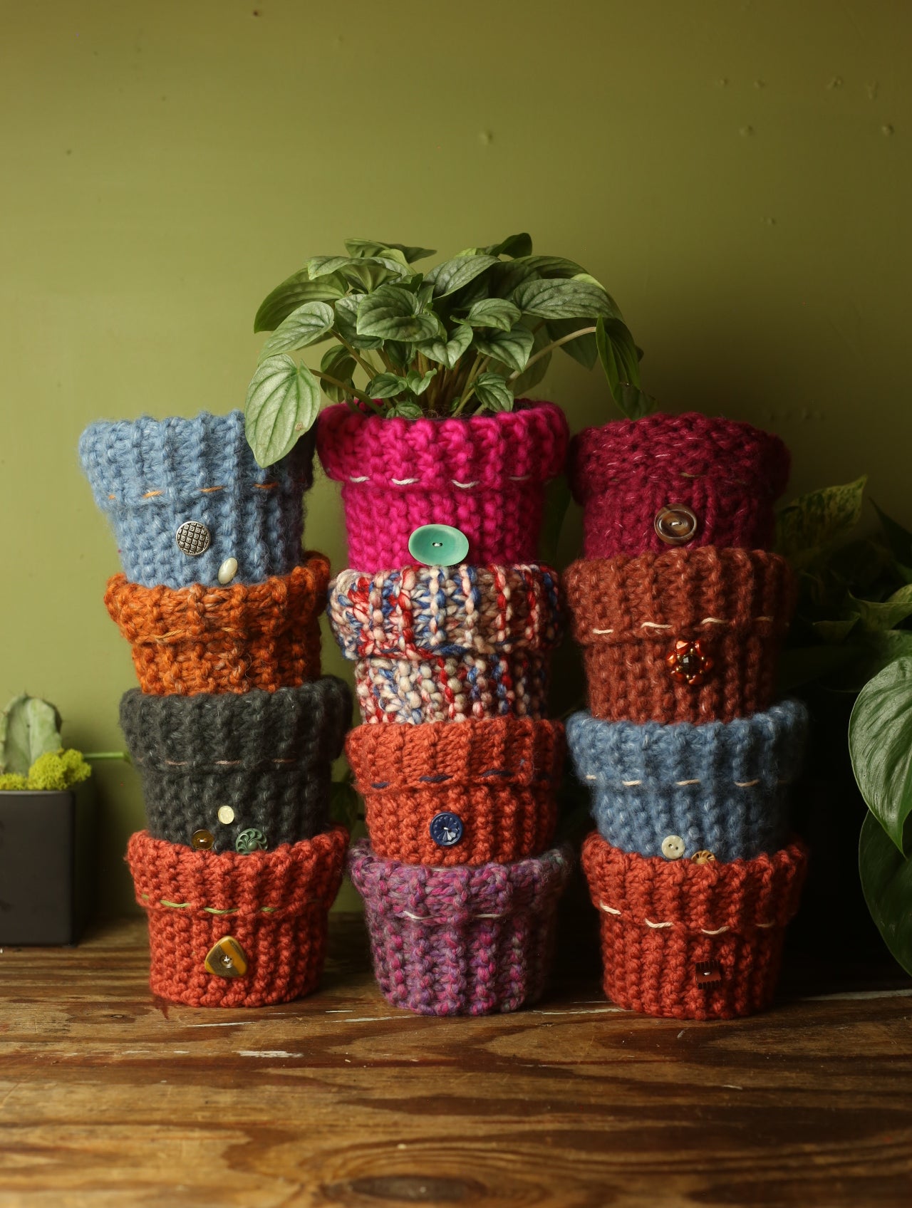 Plant Sweater 4 Inch