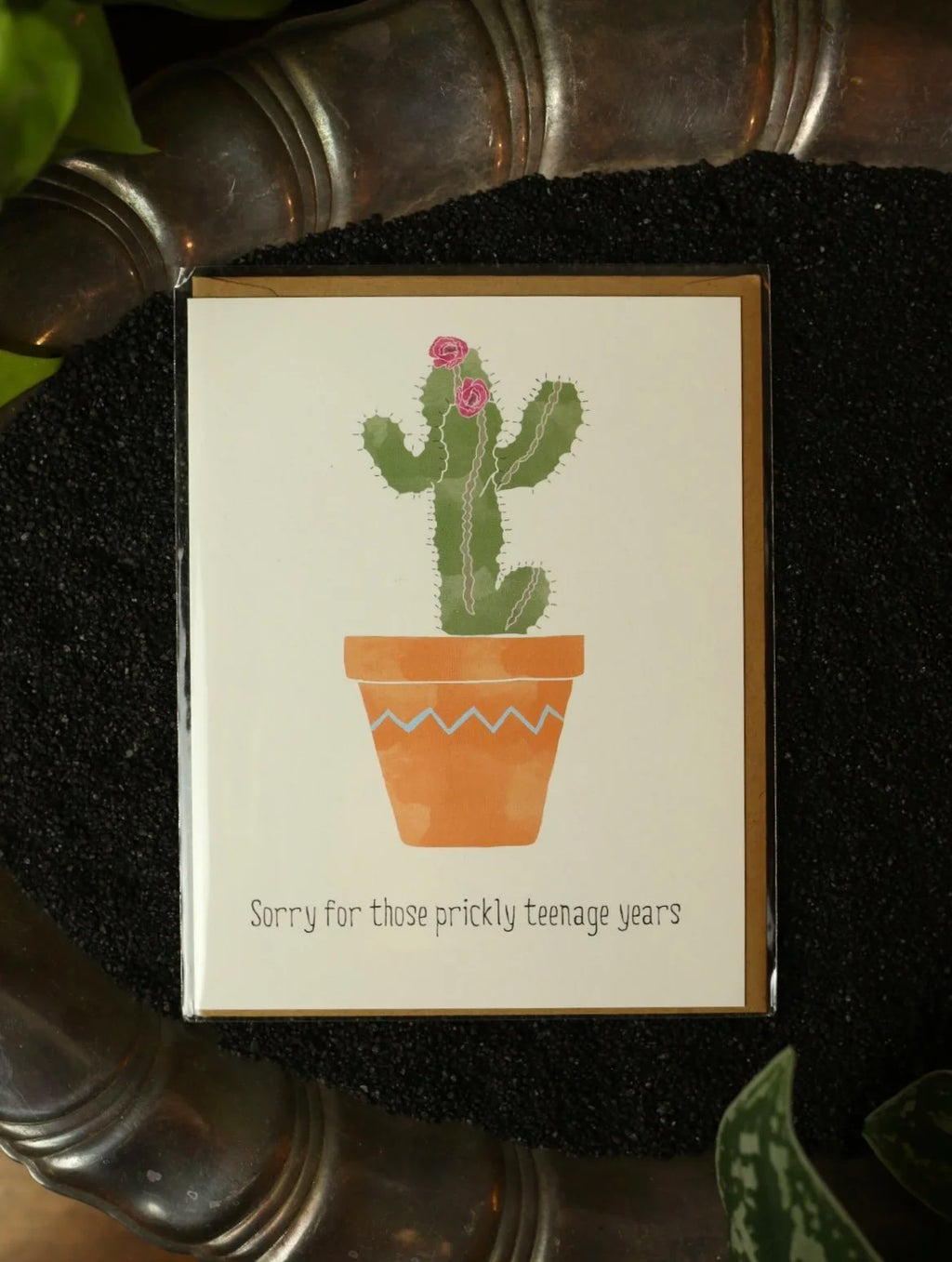 Sorry for those prickly teenage years card