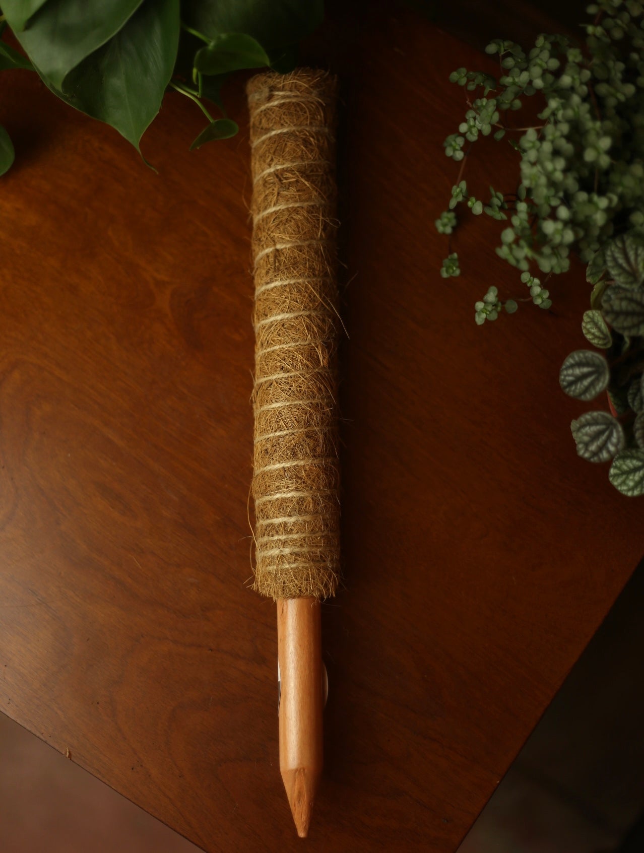 Stackable Coco Coir Plant Pole