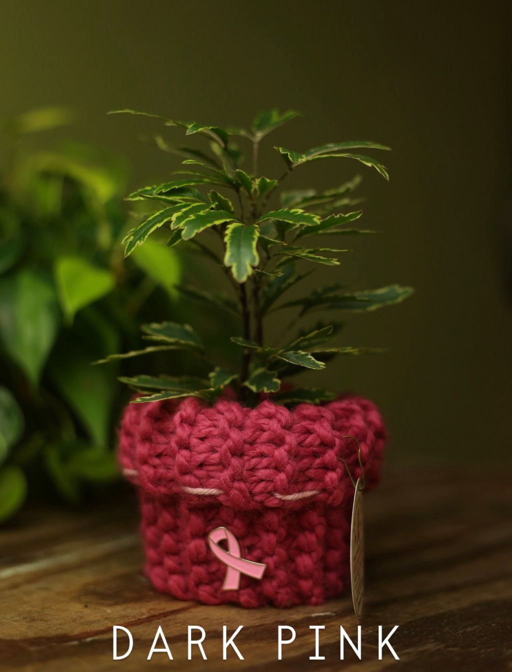 'Knit For A Cause' Plant Sweaters 3 Inch