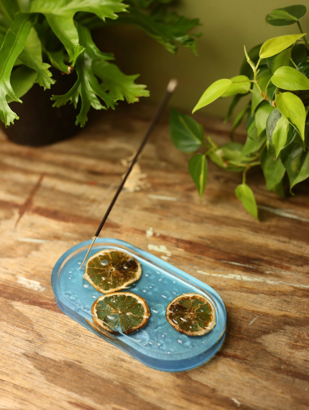 Droplets & Orange Slices Resin Incense Holder