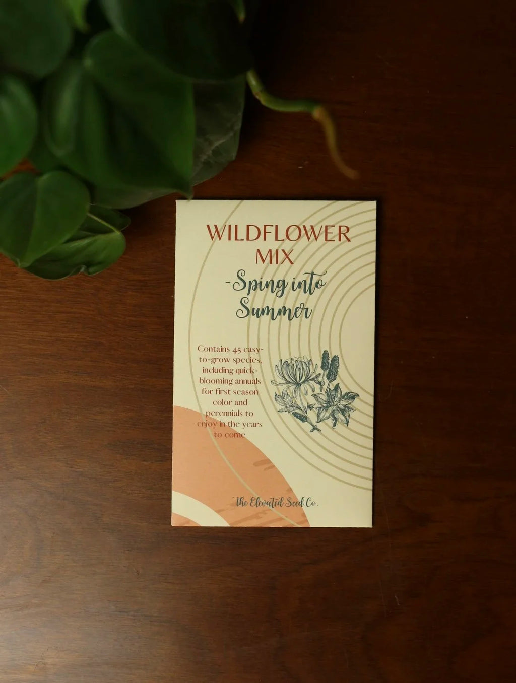 Wildflower Seed Mix- Spring Into Summer Blend