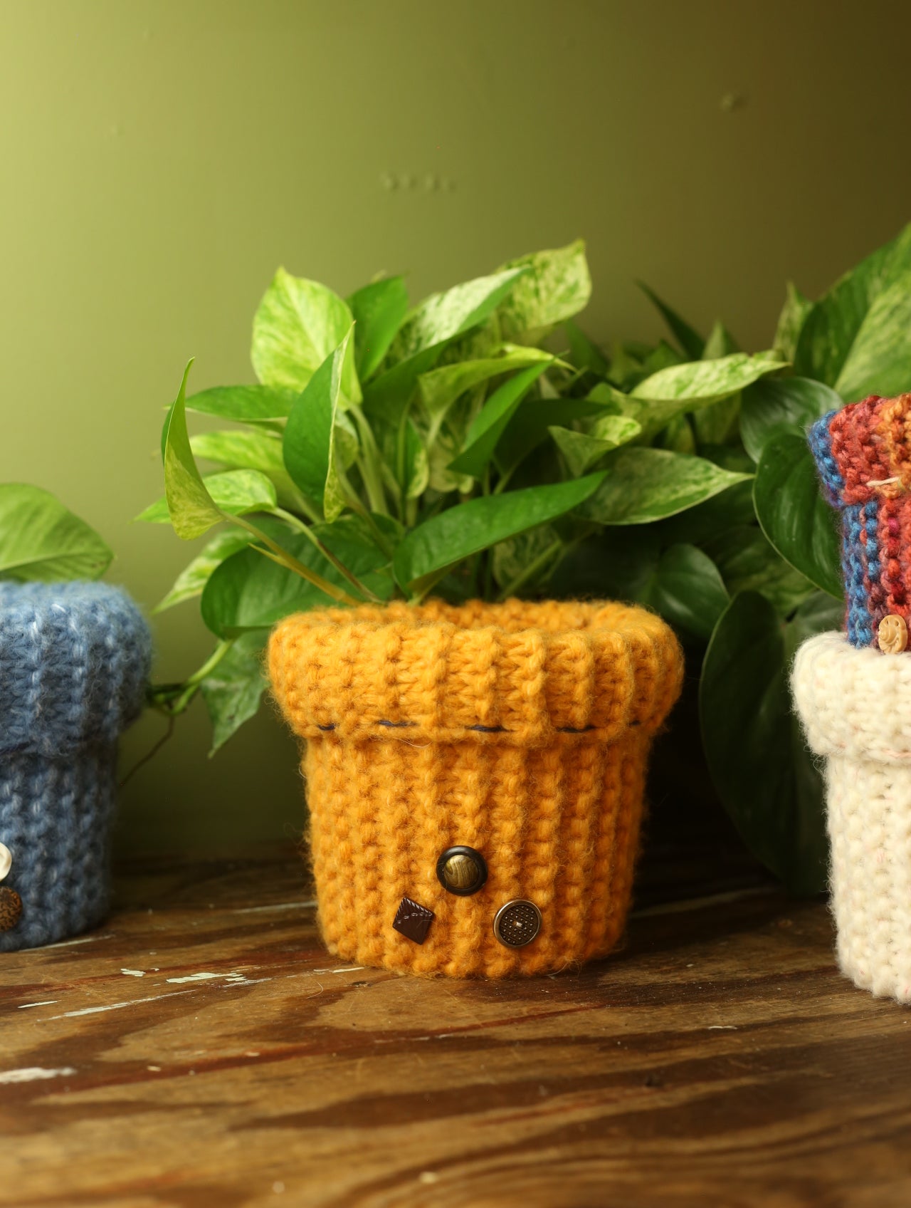 Plant Sweaters 5 inch