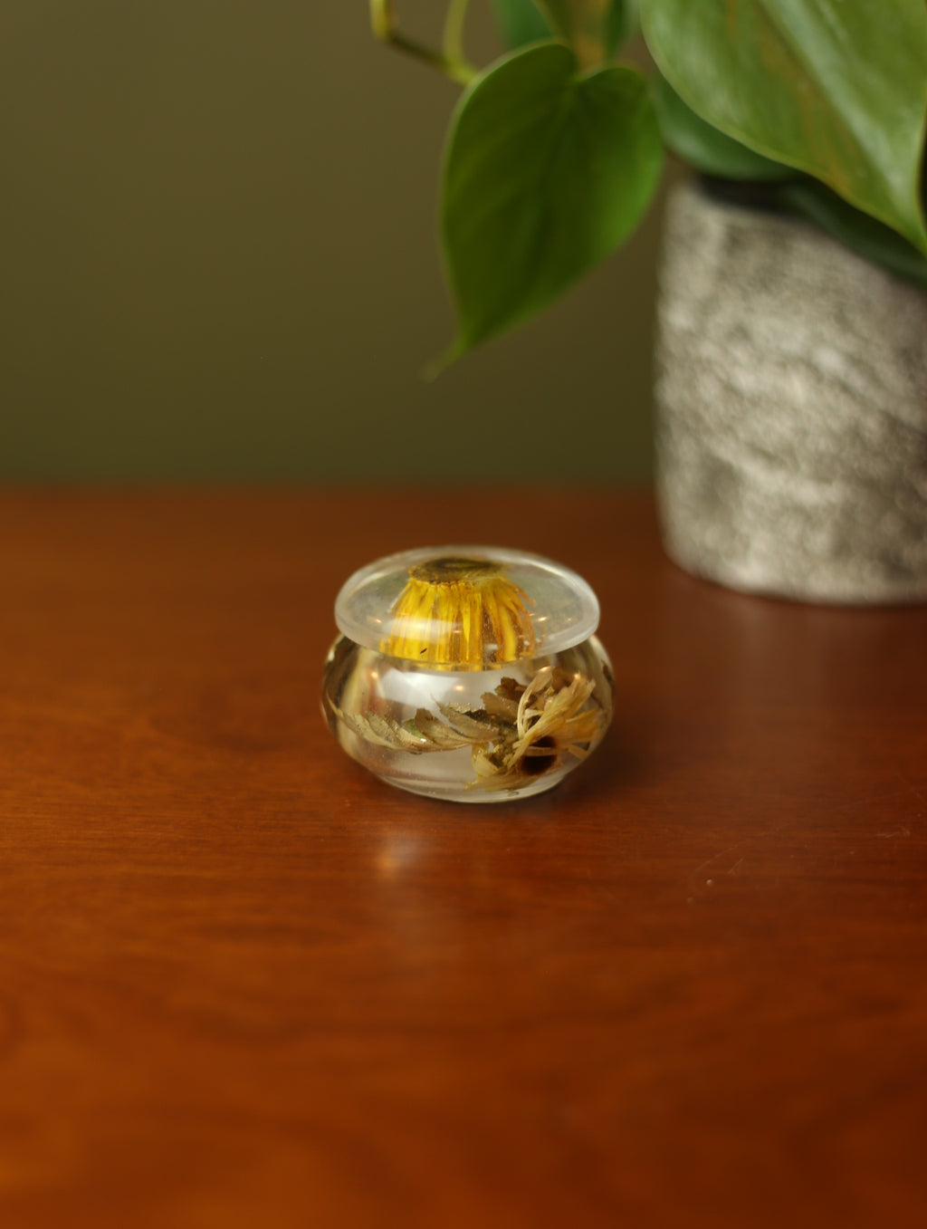 Daisy Mini Resin Jar #1