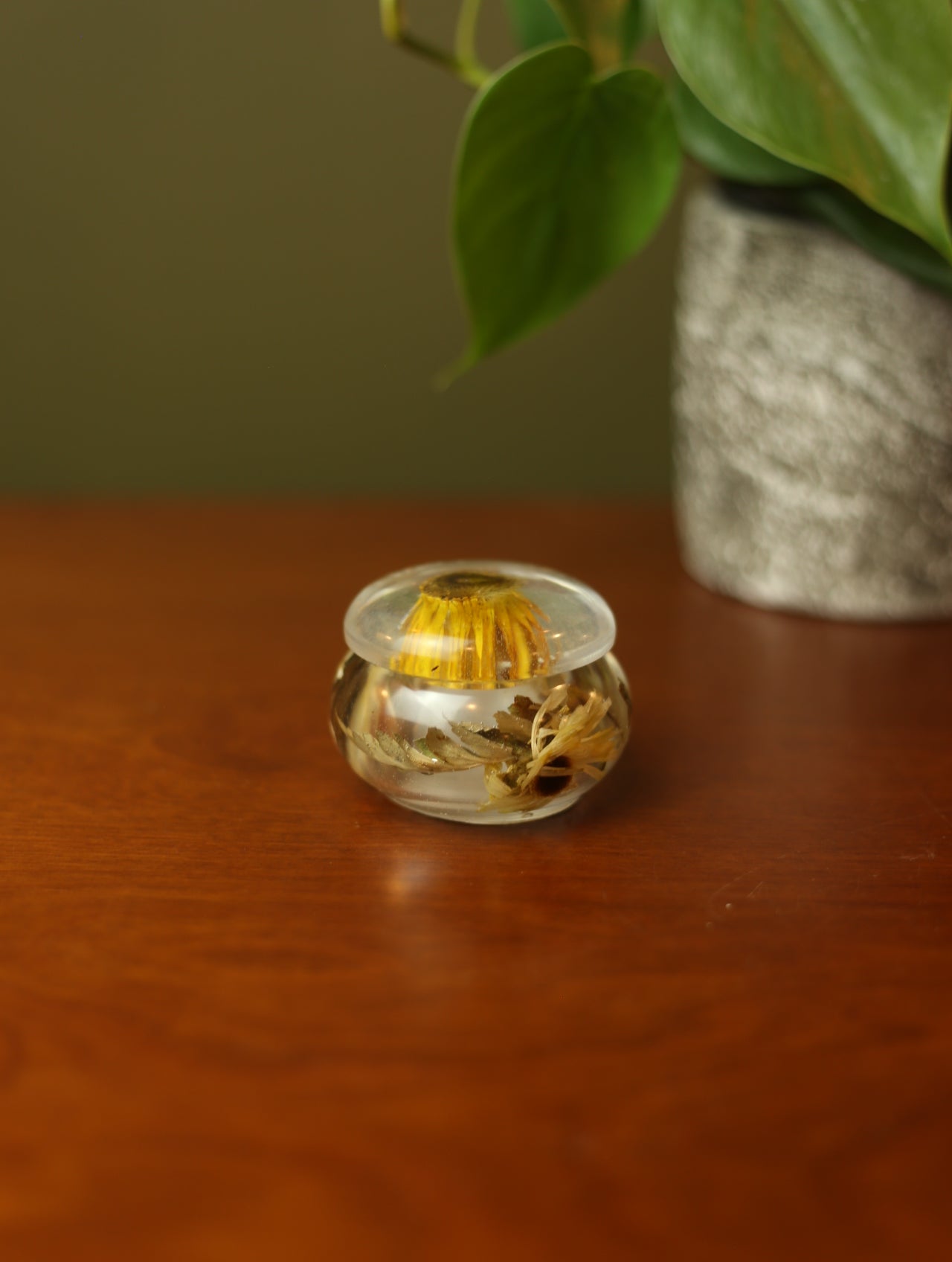 Daisy Mini Resin Jar #1