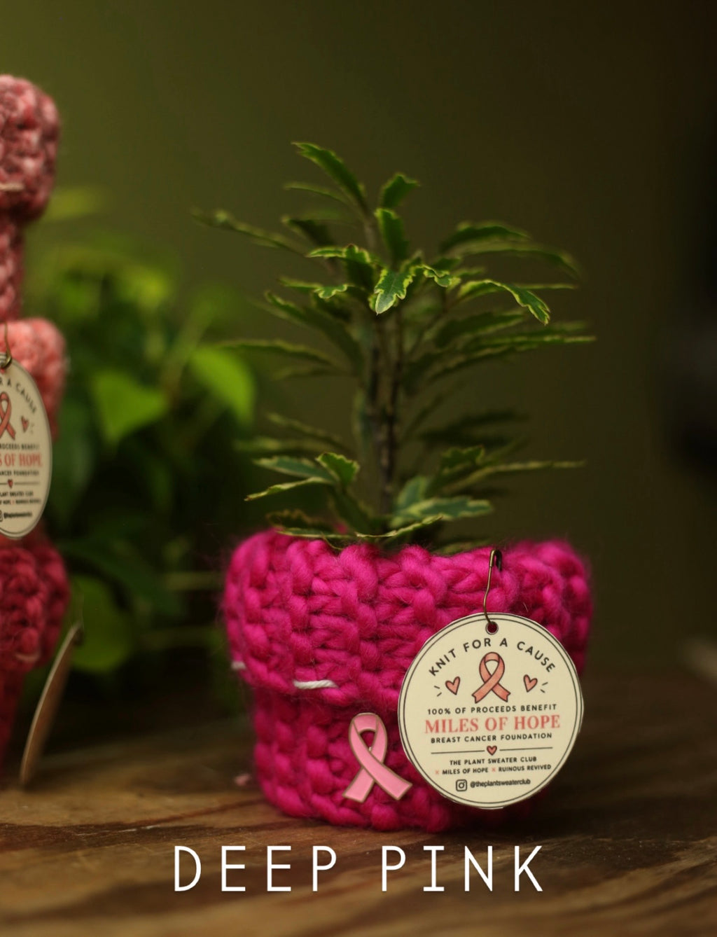 'Knit For A Cause' Plant Sweaters 3 Inch