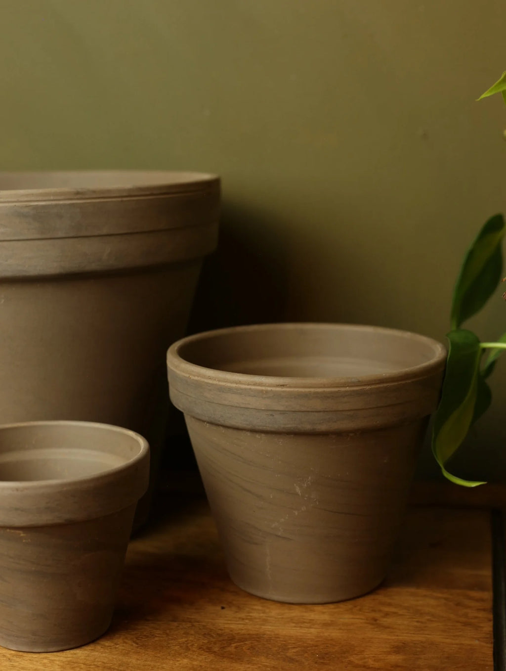 Gray Plant Pots