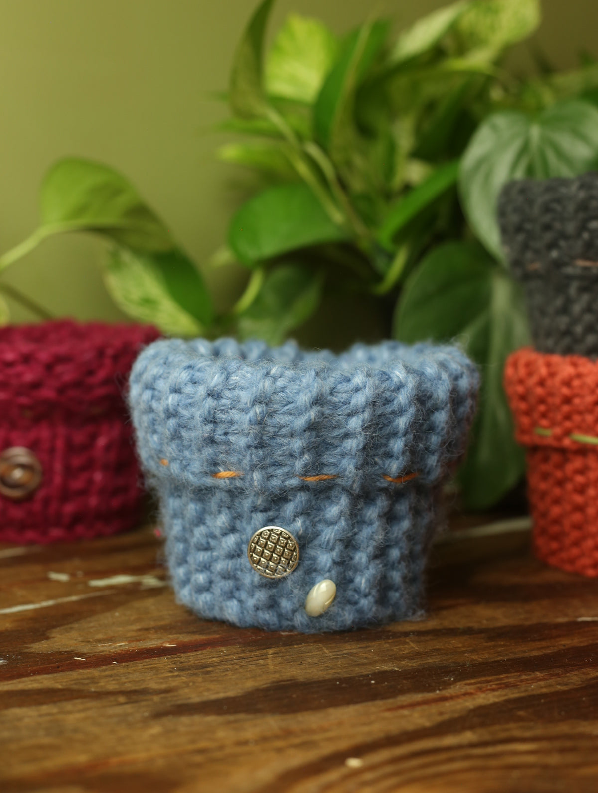 Plant Sweater 4 Inch