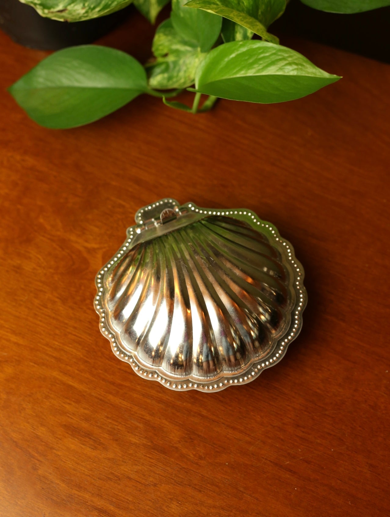 Shell jewelry box