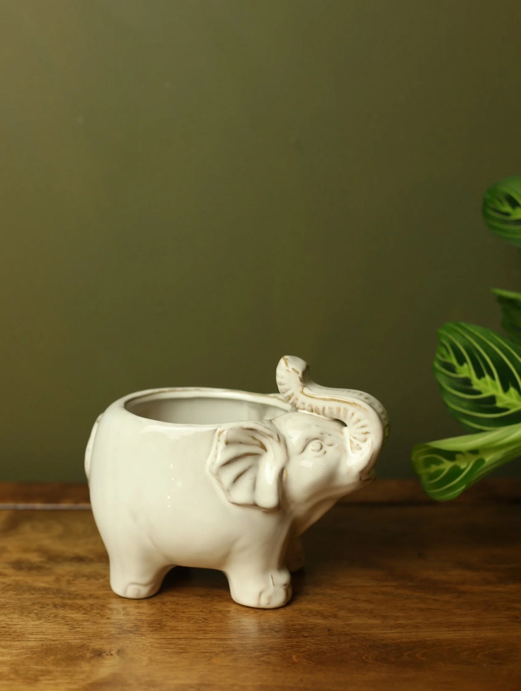 Elephant Plant Pot 3.25"