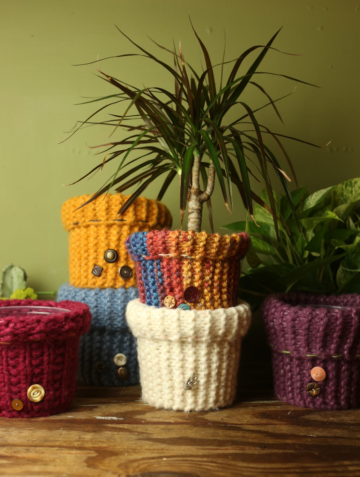 Plant Sweaters 5 inch
