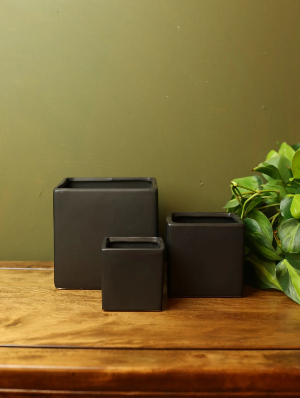 Black Square Plant Pot - 3 sizes