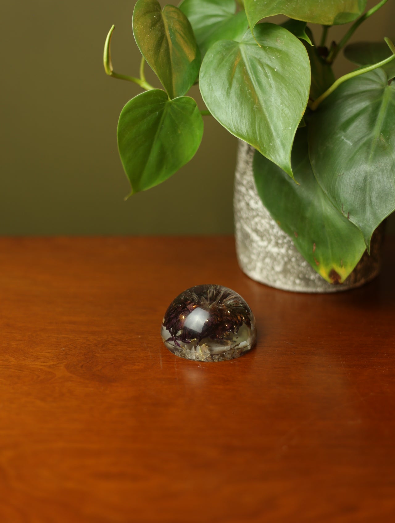 Purple Pompon Flower Resin paperweight