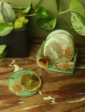 Preserved Flower & Orange Coaster Set