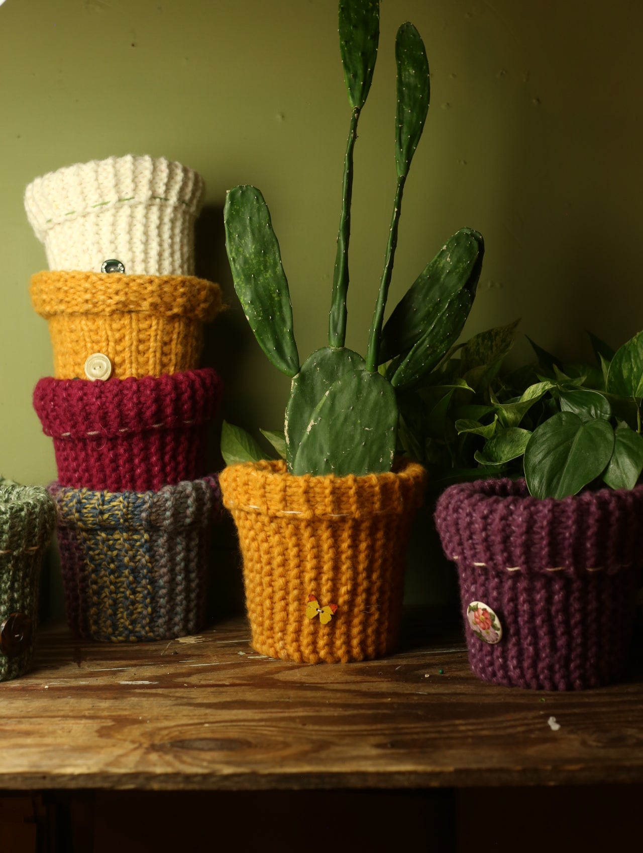 Plant Sweaters 6 inch