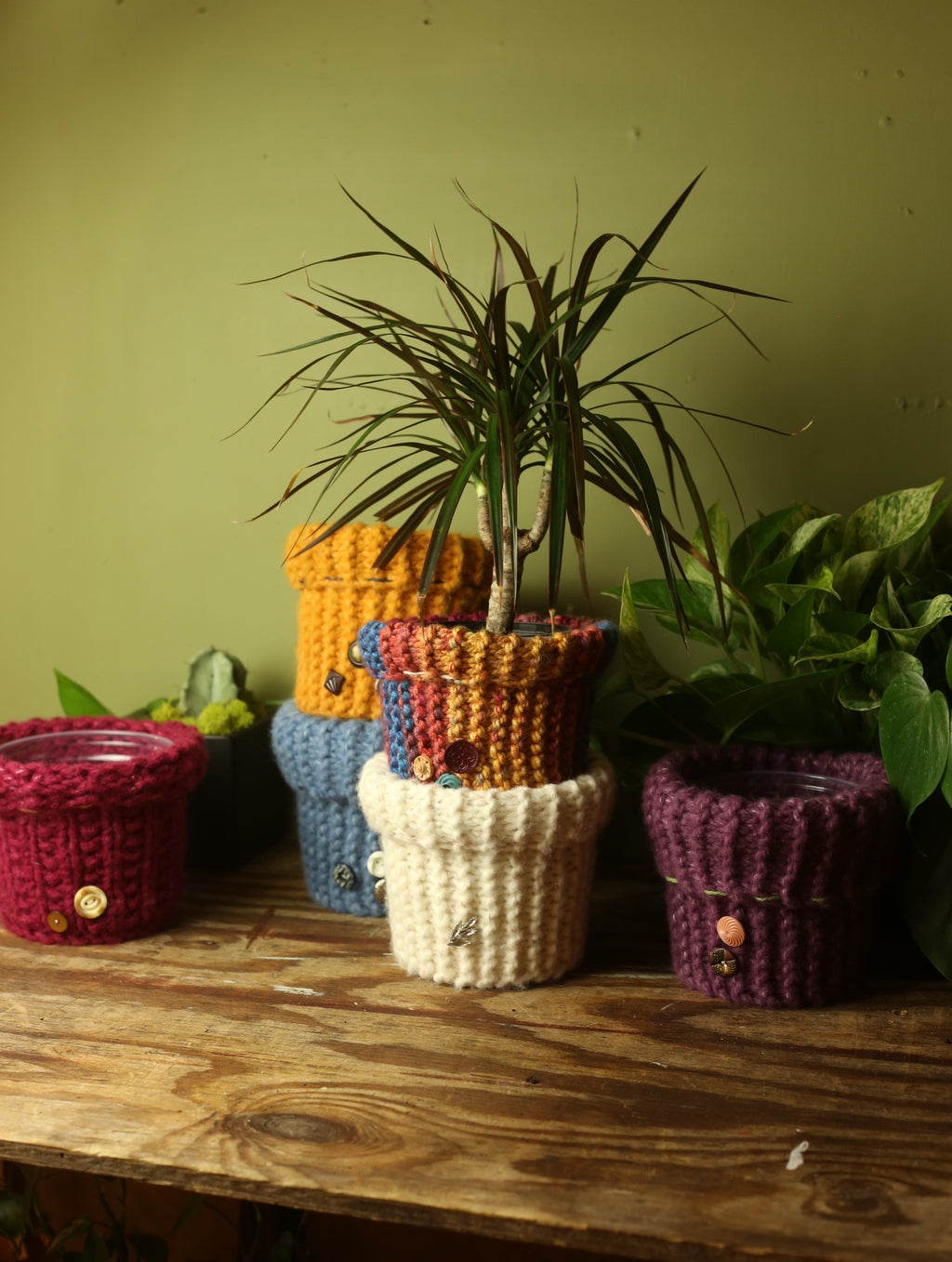 Plant Sweaters 5 inch