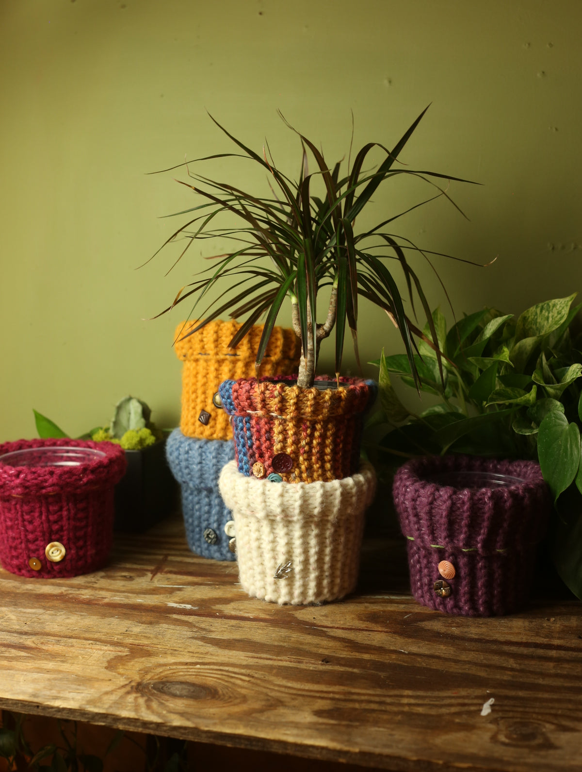 Plant Sweaters 5 inch