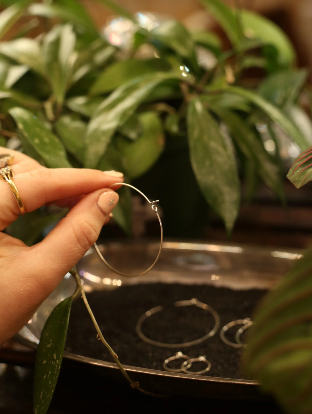 Sterling Silver Hoops