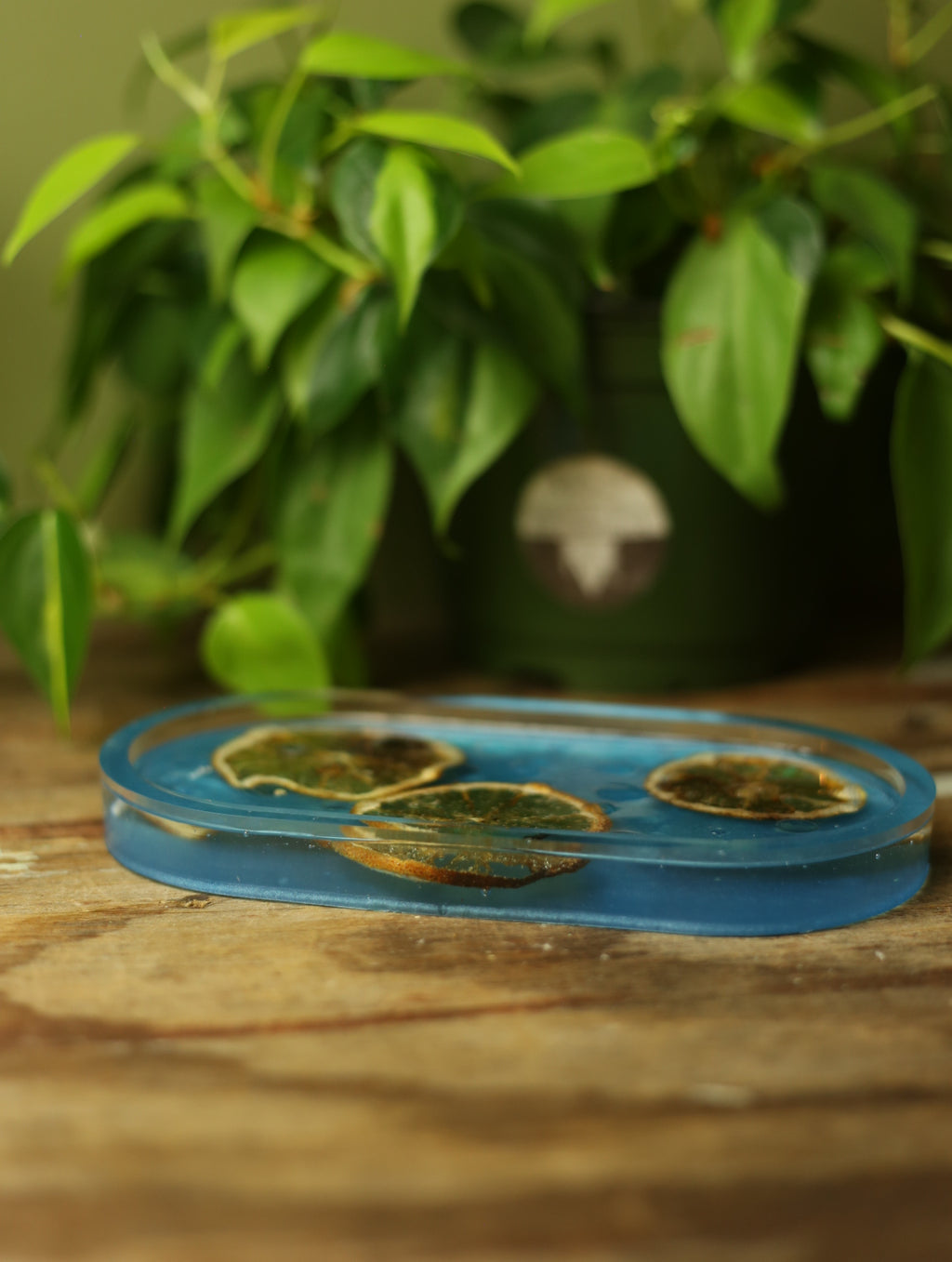 Droplets & Orange Slices Resin Incense Holder