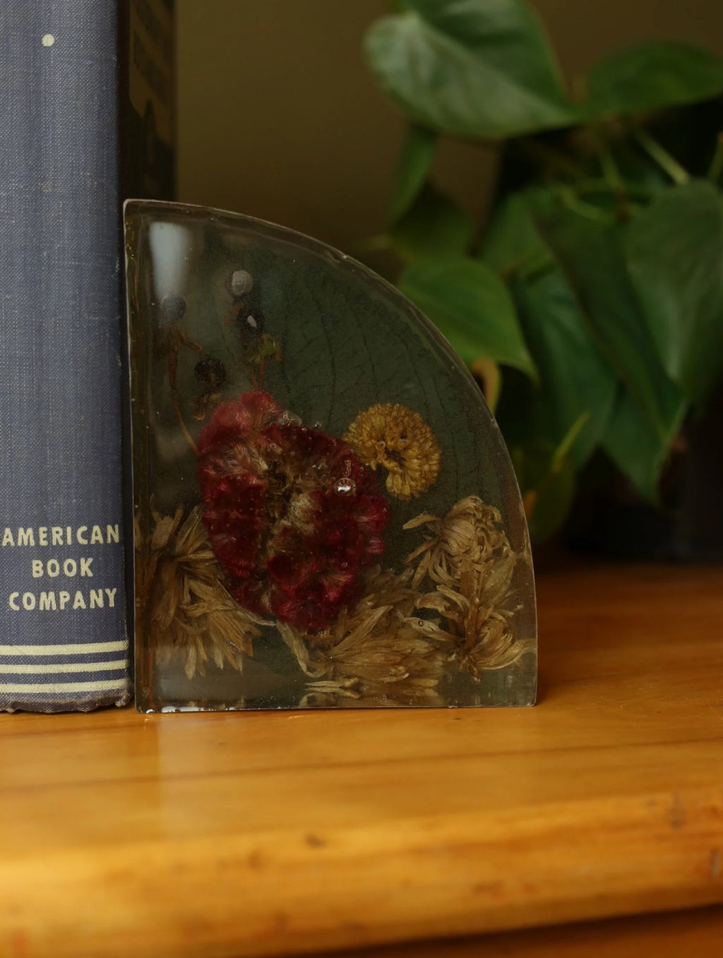 Preserved Flowers in Resin Bookends