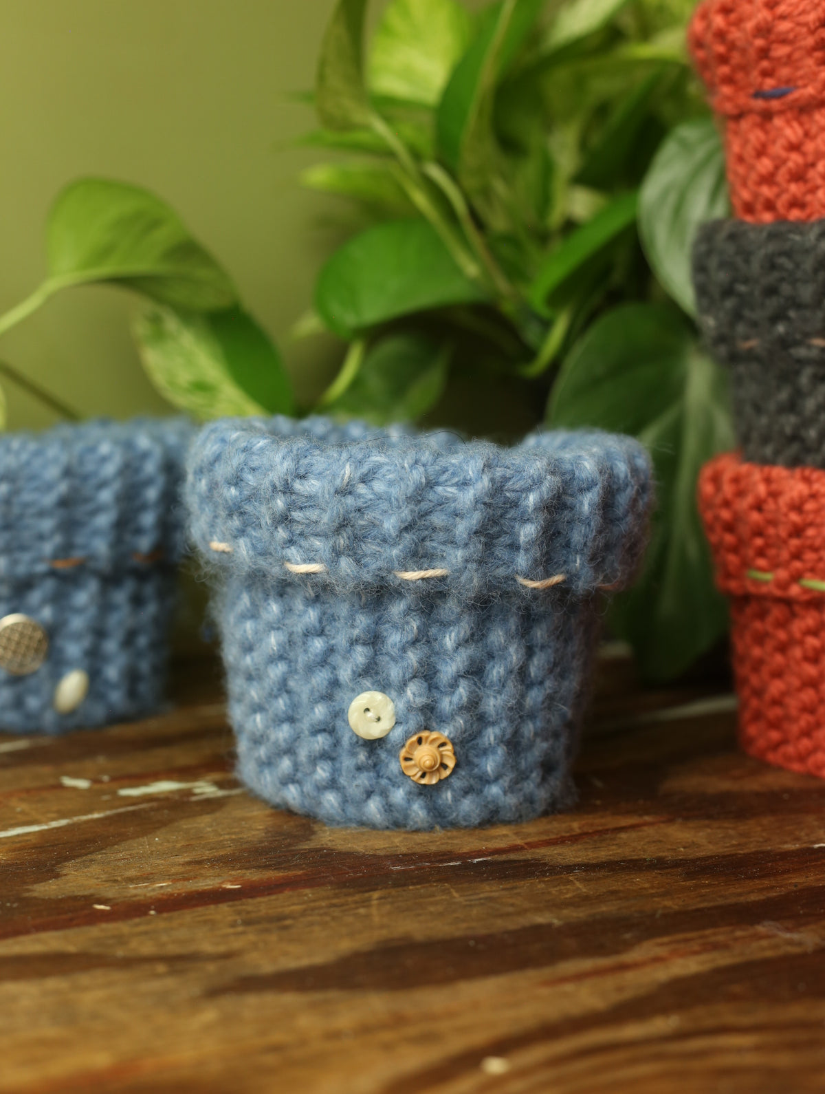 Plant Sweater 4 Inch