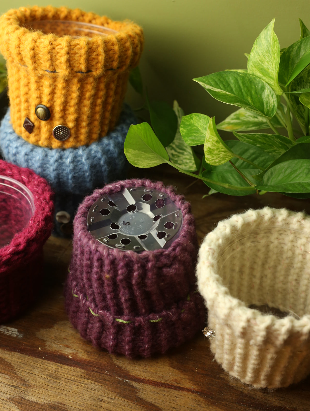 Plant Sweaters 5 inch