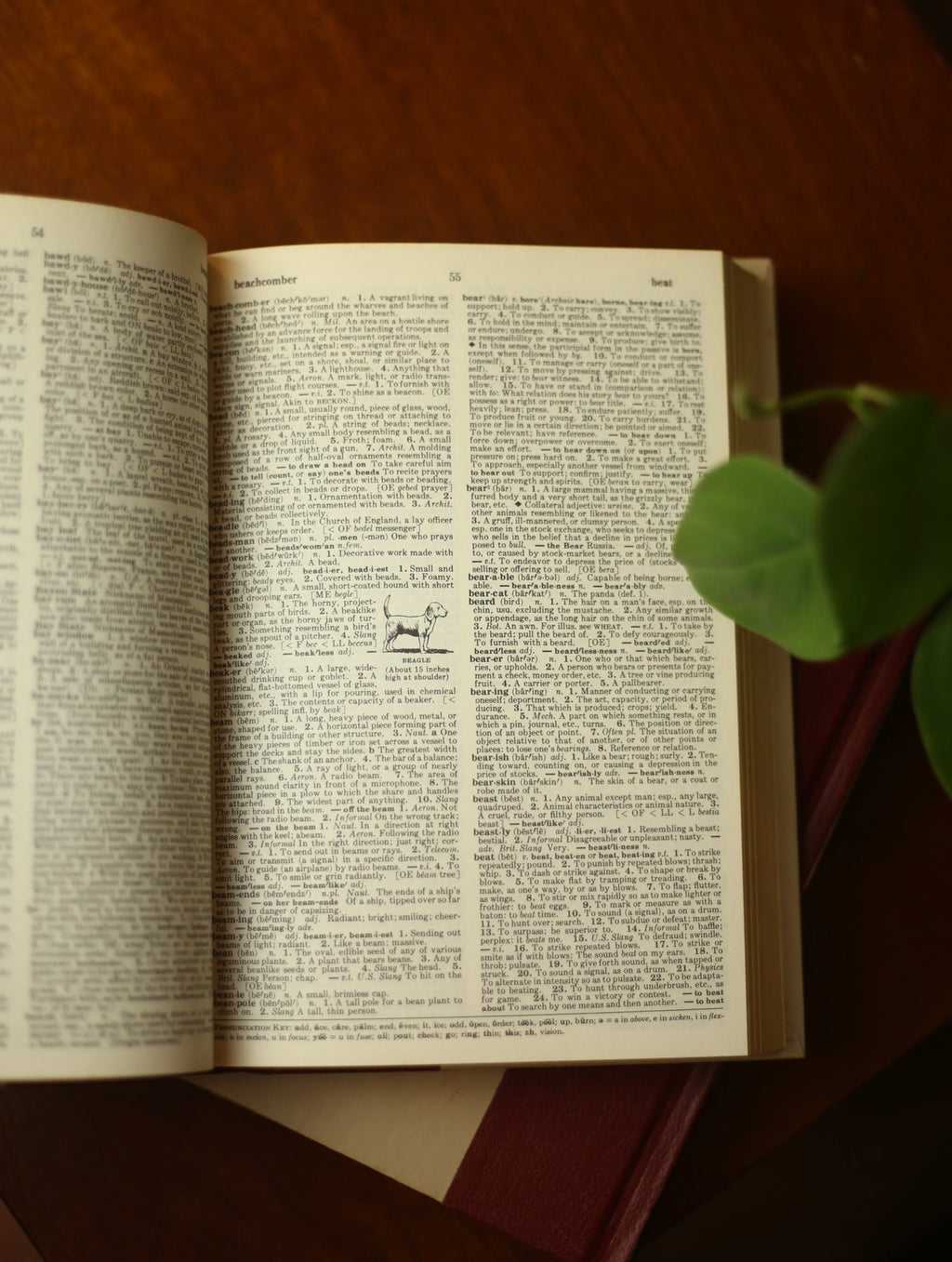 Funk & Wagnalls Standard Desk Dictionary Volume 1 & 2 1979