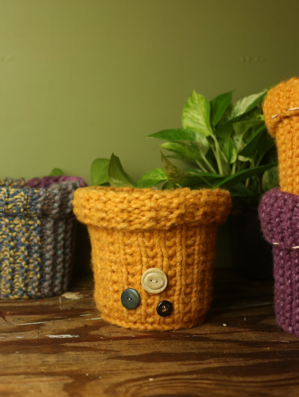 Plant Sweaters 6 inch