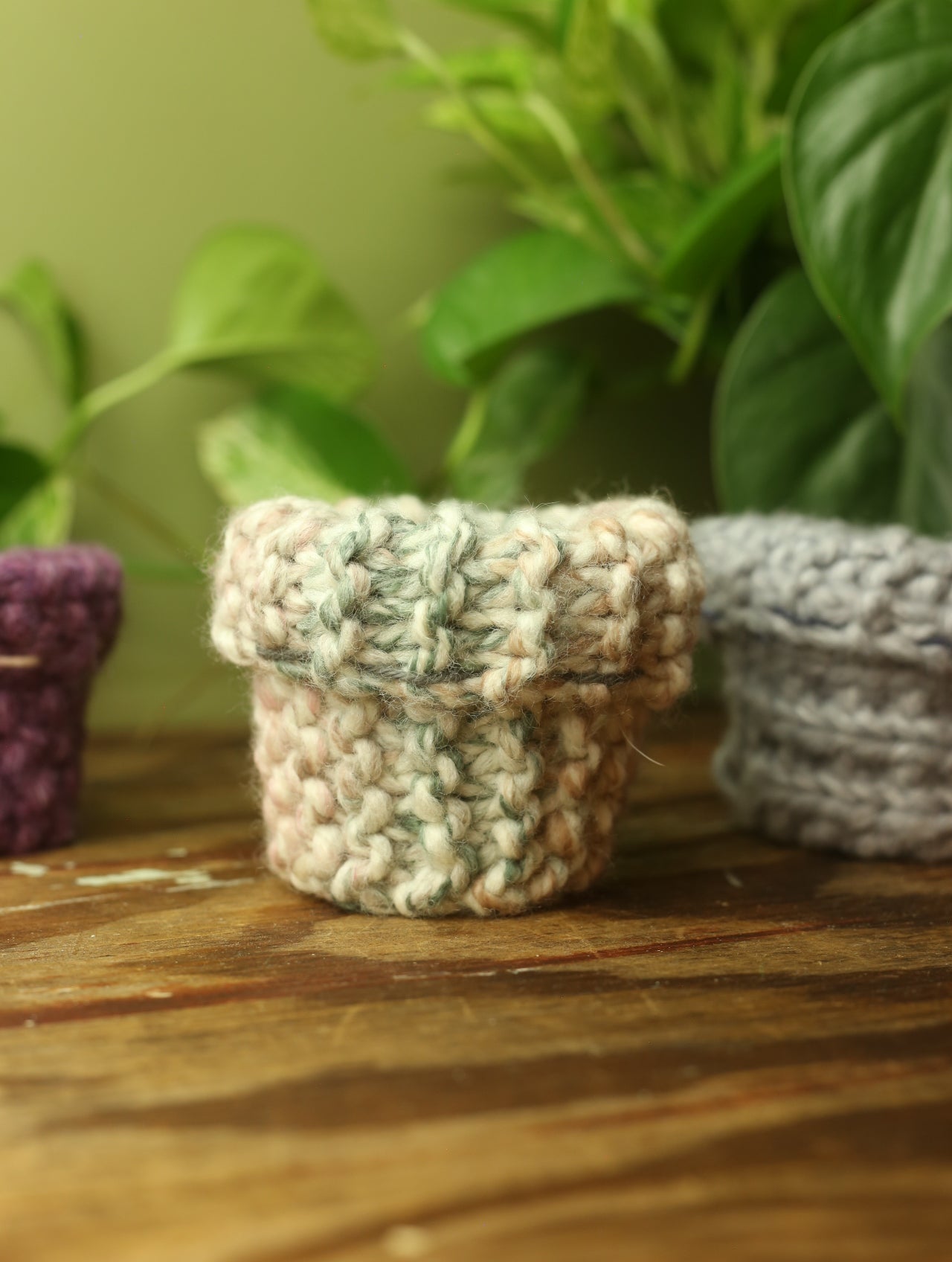 Plant Sweaters 2.5 inch