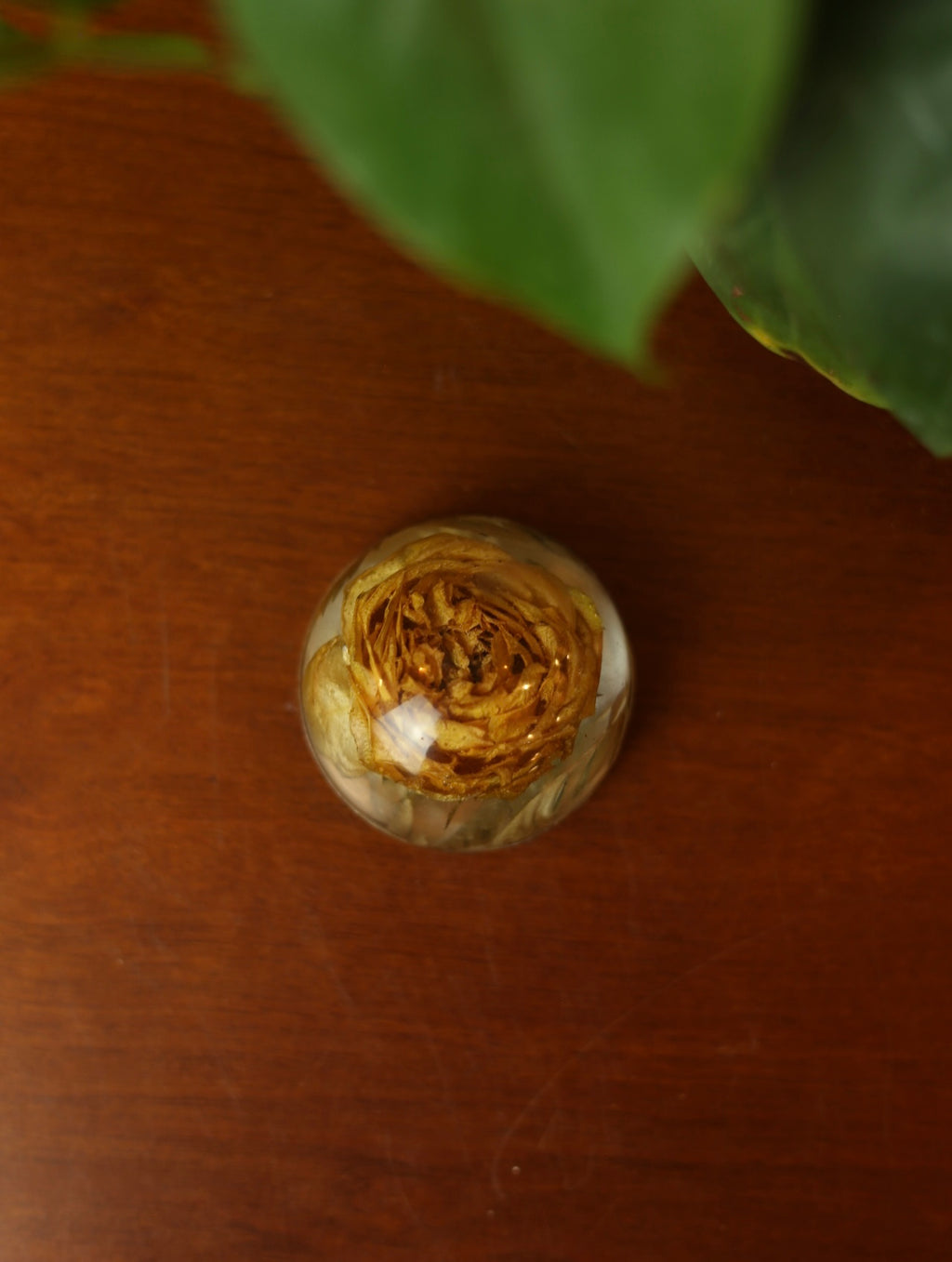 Yellow Rose Resin Paperweight