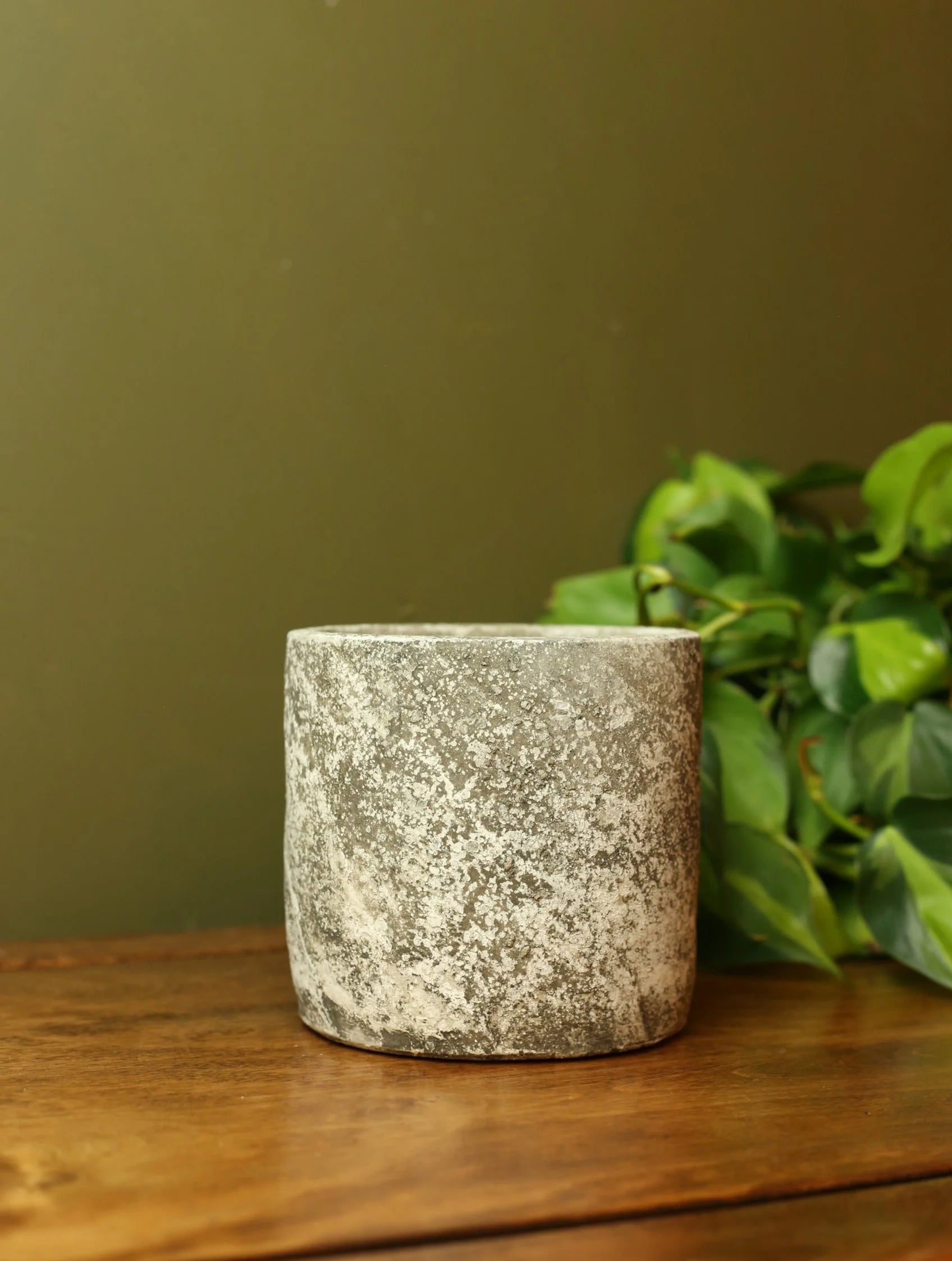 Weathered Concrete Plant Pot - 4 inch