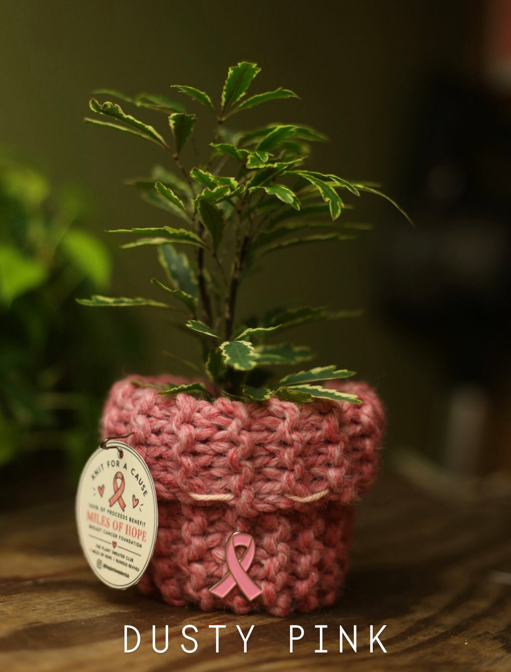 'Knit For A Cause' Plant Sweaters 3 Inch