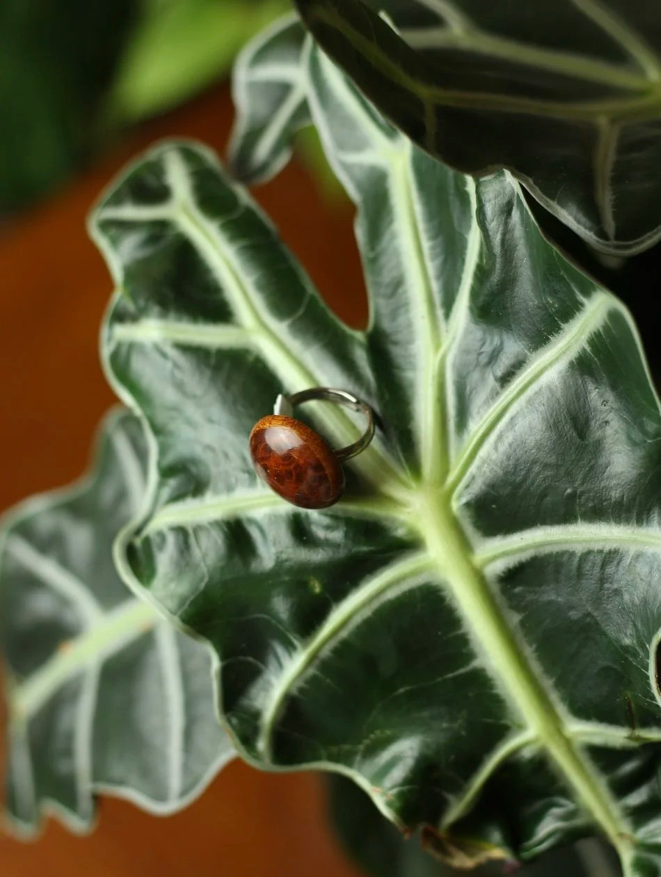 Mahogany Wood Adjustable Ring