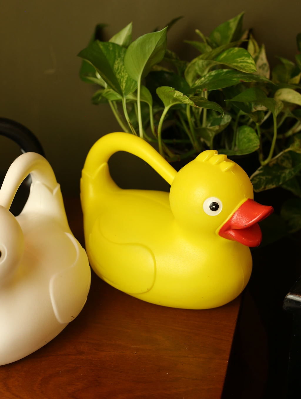 Duck Watering Can