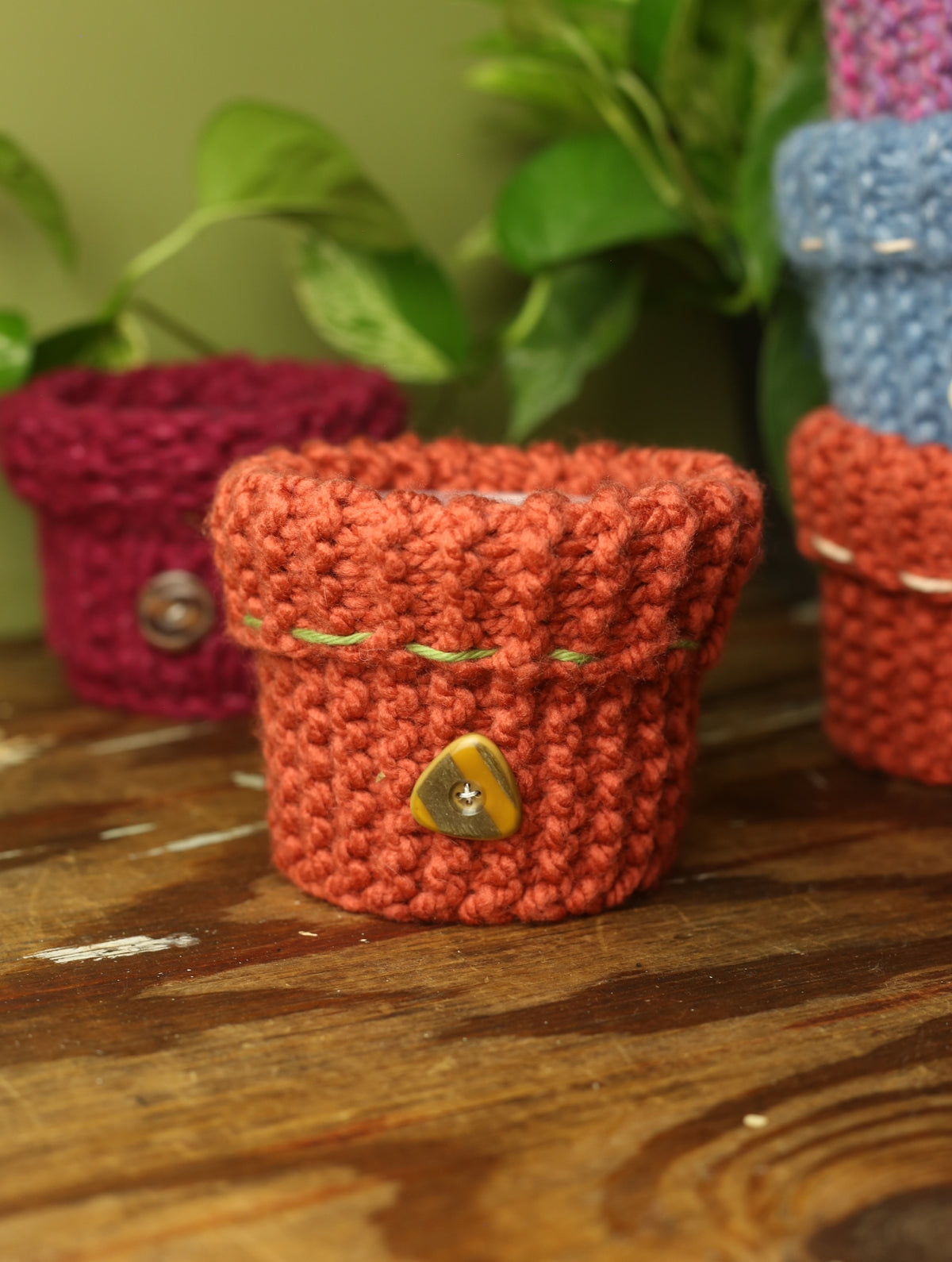 Plant Sweater 4 Inch
