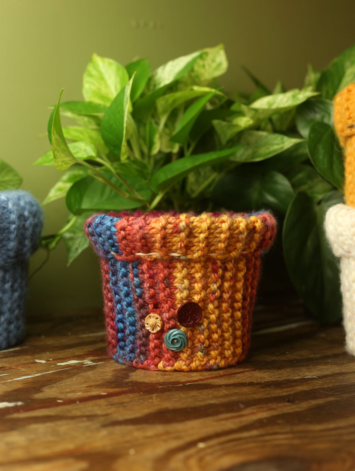 Plant Sweaters 5 inch